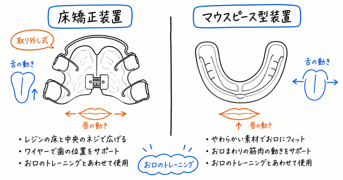 8歳での小児矯正開始は遅い?歯の生え変わりと成長期の関係